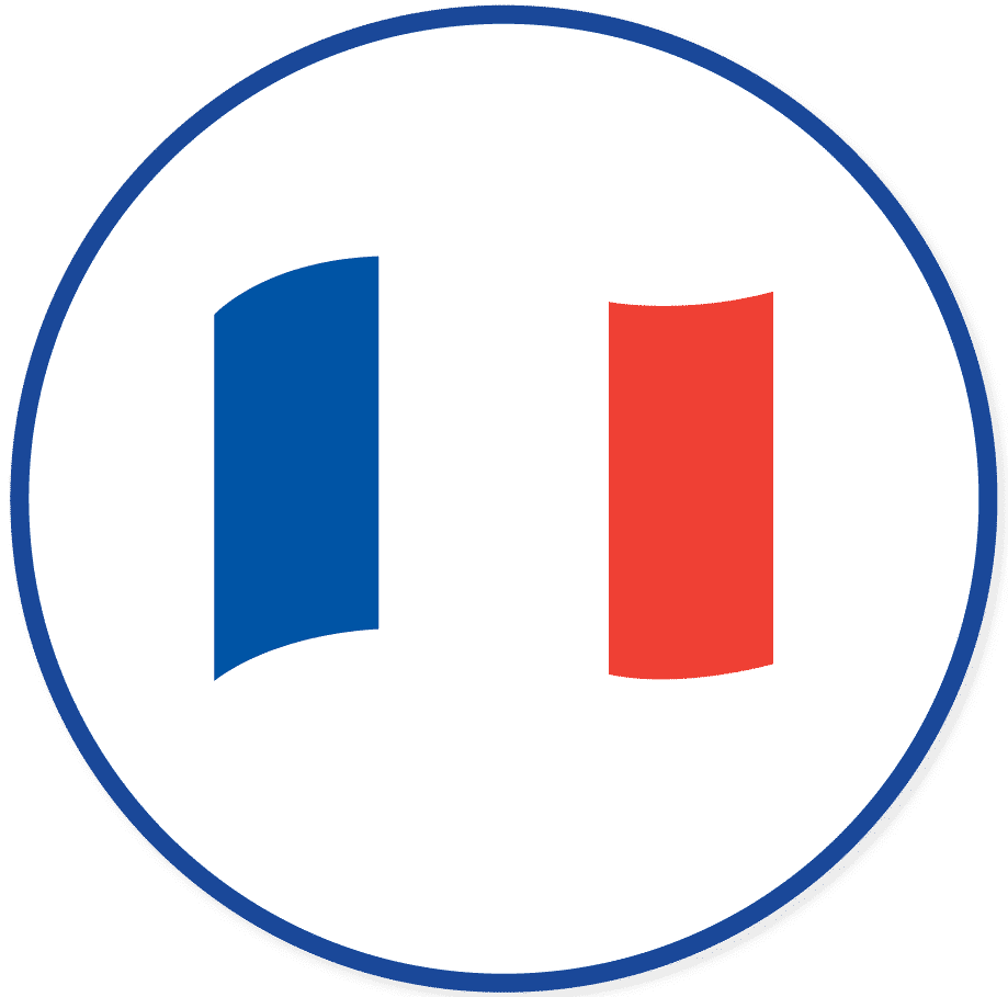 Un logo du drapeau français
