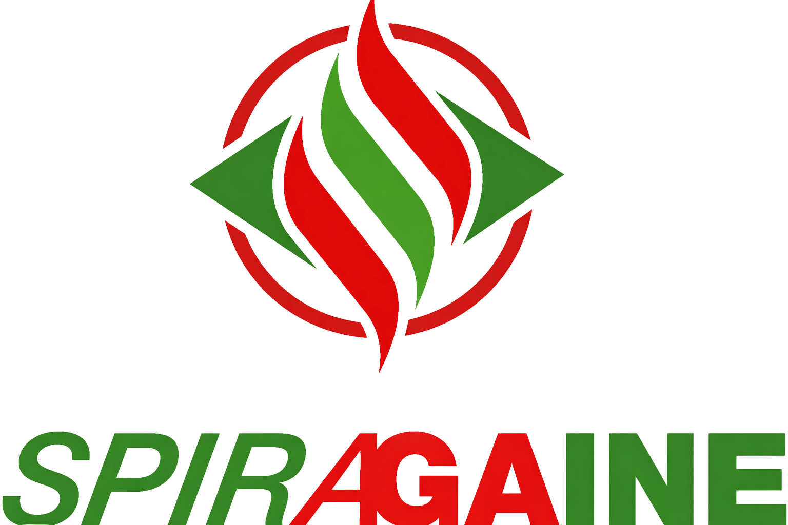 Le logo spiragaine aux couleurs de Noël